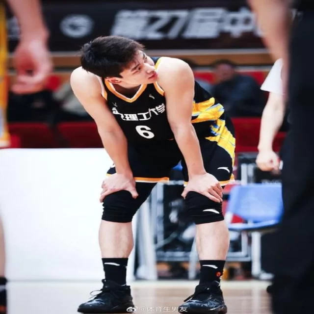 篮球季后赛走势解析：第97组数据的深度观察